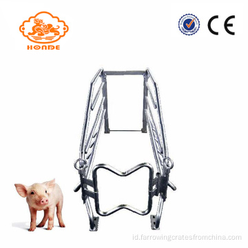 Tabung Galvanized Steel Farrowing Pig Cages